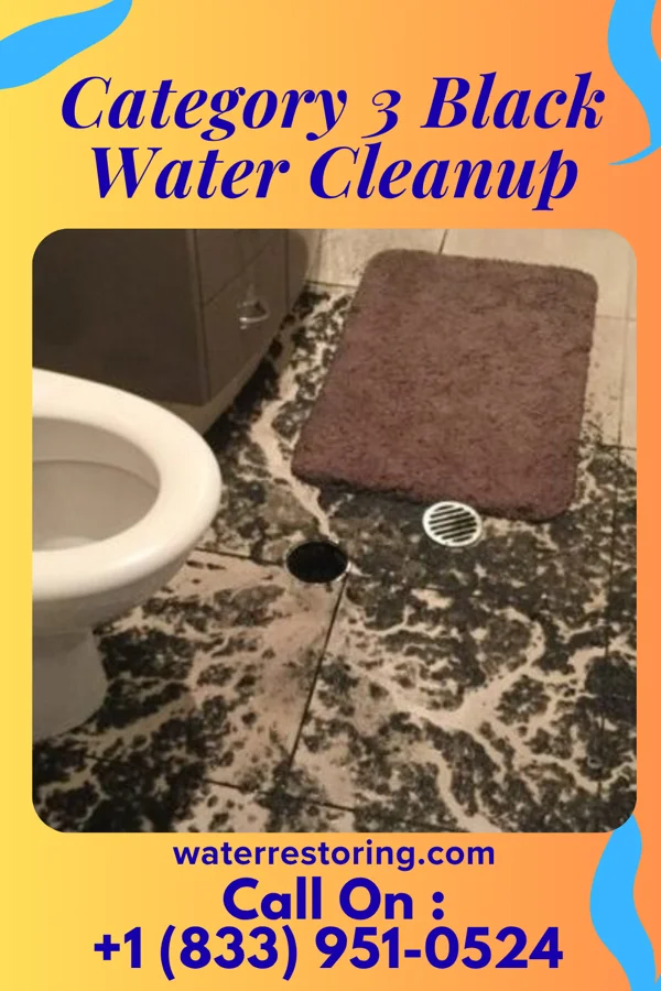 Category 3 Black Water Cleanup in Union Hill-Novelty Hill, WA