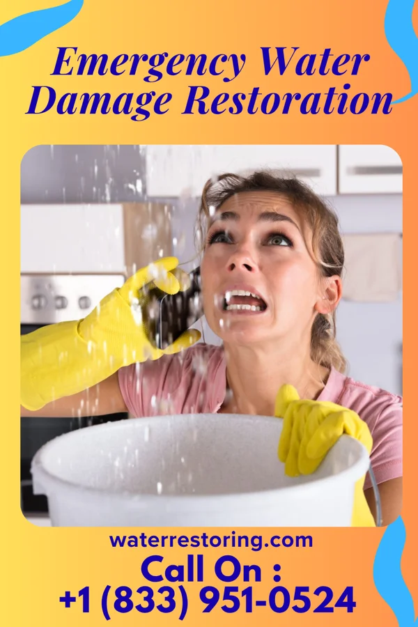 Emergency Water Damage Restoration in Union Hill-Novelty Hill, WA